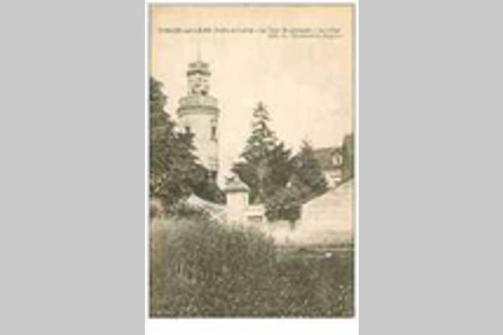 Вілла Le Logis De La Tour Saint Jacques Chouze-sur-Loire Екстер'єр фото